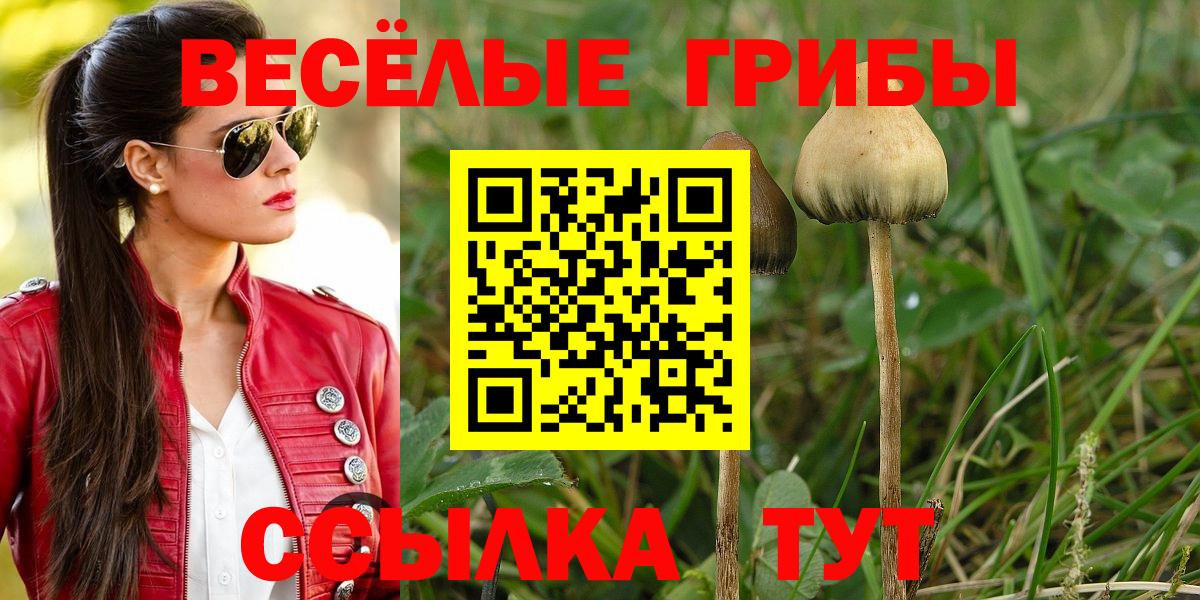 Галлюциногенные грибы мицелий  Псилоцибиновые грибы Psilocybine cubensis  Вход с VPN  Шелехов 